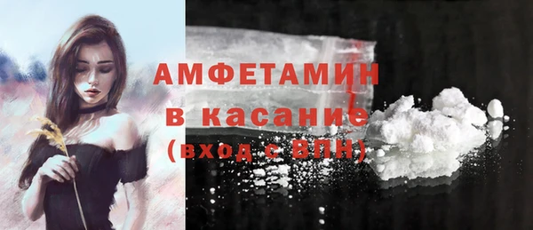 винт Ельня