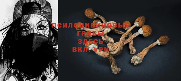 шишки Баксан