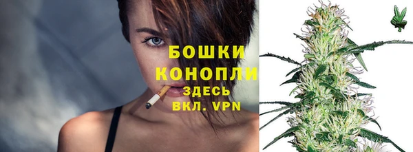 шишки Баксан