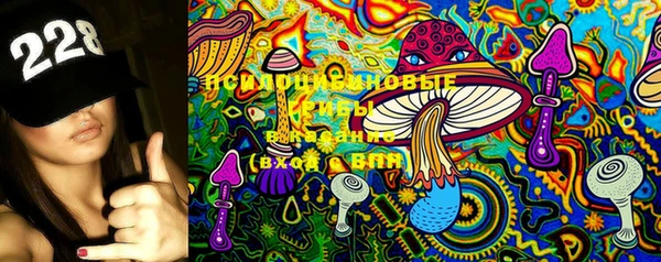 шишки Баксан