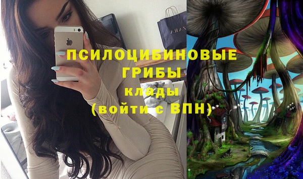 шишки Баксан