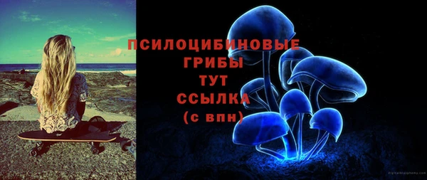 шишки Баксан